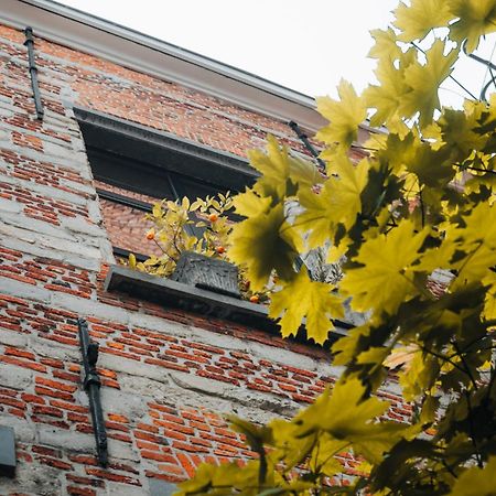 アントウェルペンDuplex In Historical Centre With Private Courtyardアパートメント エクステリア 写真