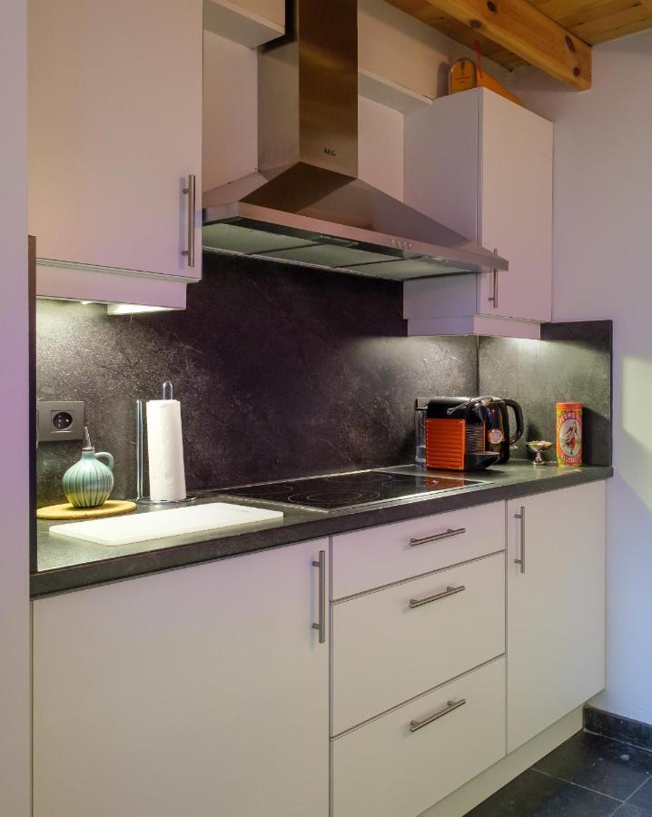 アントウェルペンDuplex In Historical Centre With Private Courtyardアパートメント エクステリア 写真