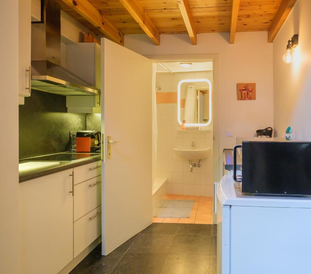 アントウェルペンDuplex In Historical Centre With Private Courtyardアパートメント エクステリア 写真