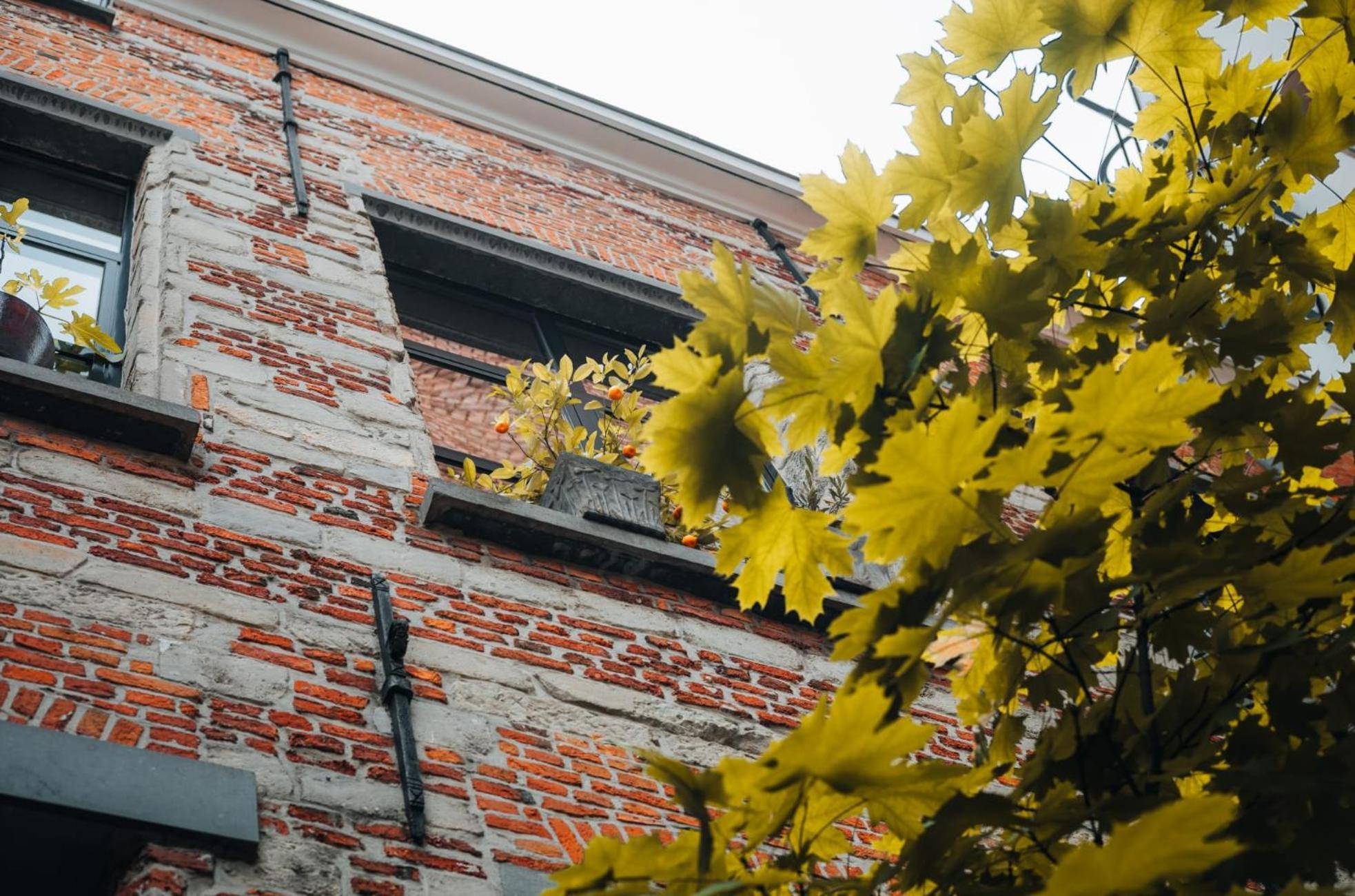 アントウェルペンDuplex In Historical Centre With Private Courtyardアパートメント エクステリア 写真